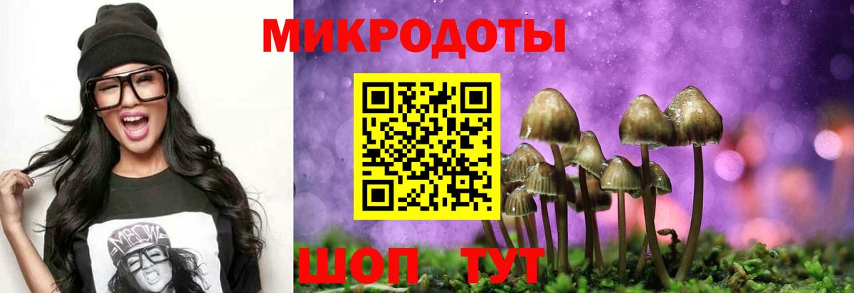 Анжеро-Судженск  Псилоцибиновые грибы GOLDEN TEACHER  Галлюциногенные грибы Magic Shrooms  Вход с VPN 